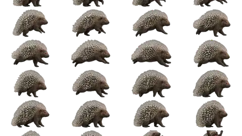 Porcupine race-theme artwork