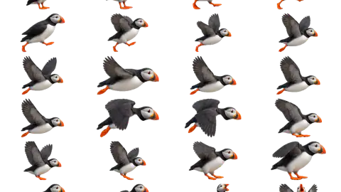 Puffin race-theme artwork