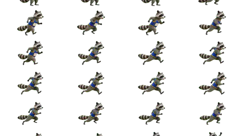 Raccoon race-theme artwork