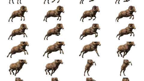 Ram race-theme artwork