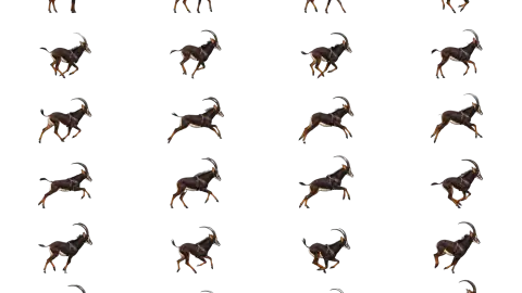 Sable race-theme artwork