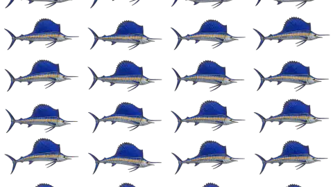 Sailfish race-theme artwork