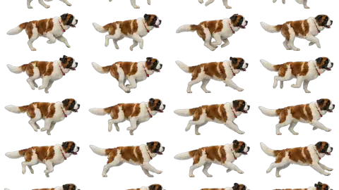 Saint Bernard race-theme artwork