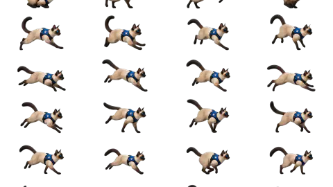 Siamese Cat race-theme artwork