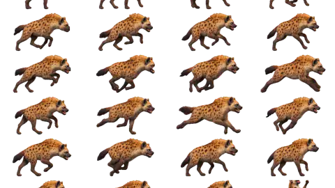 Spotted Hyena race-theme artwork