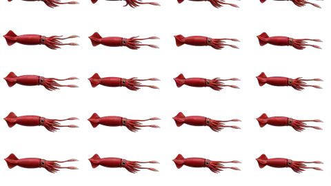 Squid race-theme artwork