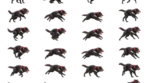 Tasmanian Devil race-theme artwork