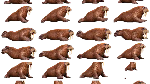 Walrus race-theme artwork