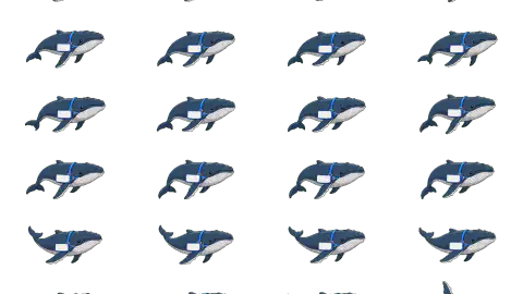 Whale race-theme artwork