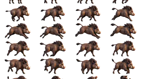 Wild Boar race-theme artwork