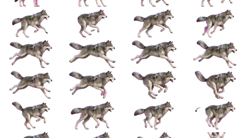 Wolf race-theme artwork
