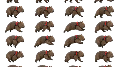 Wombat race-theme artwork