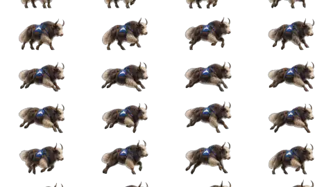 Yak race-theme artwork