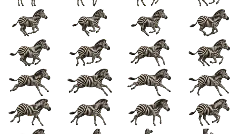 Zebra race-theme artwork